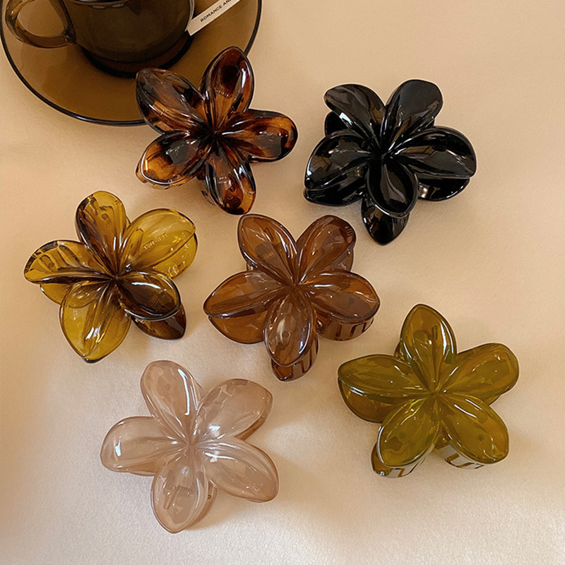 Women's Large-Size 8cm Brown B - огляд і ціна Hair Clip Claw Large
